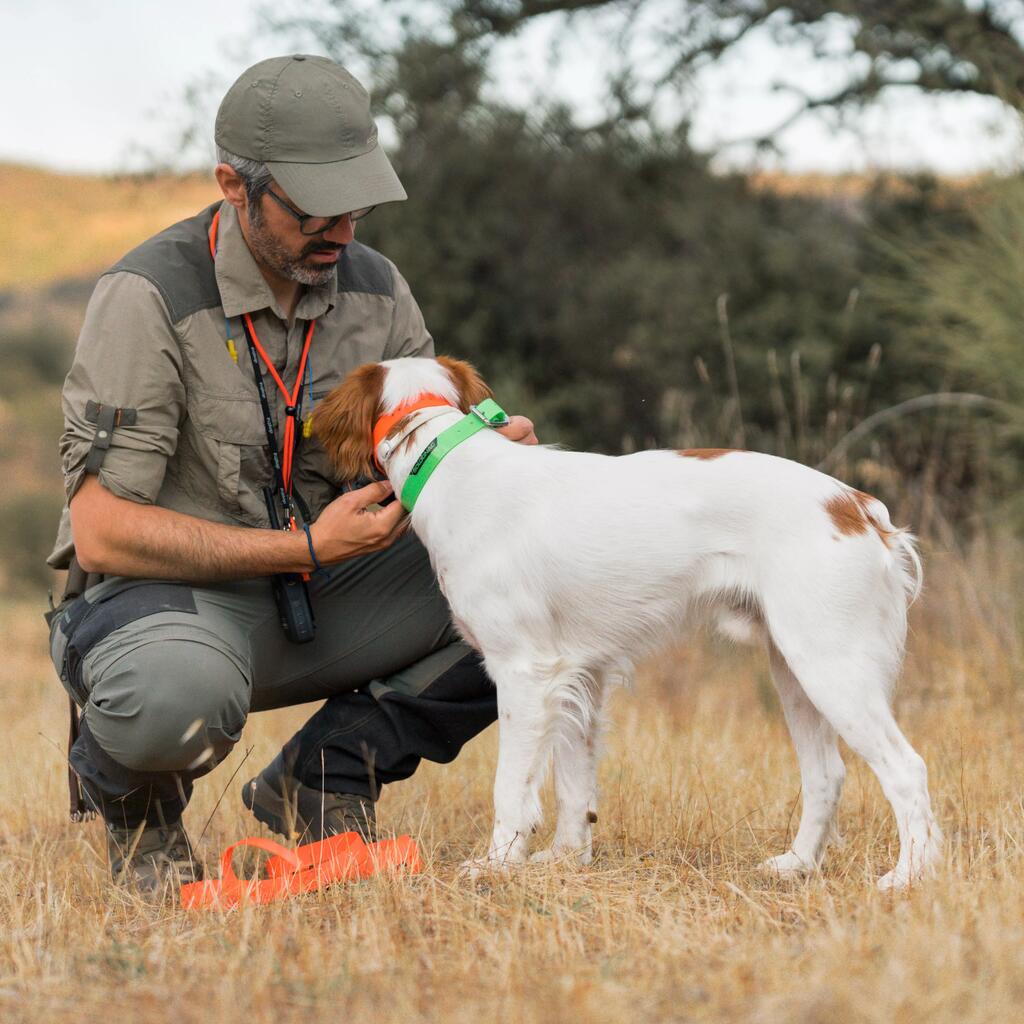 Dog collar 500 - Neon green