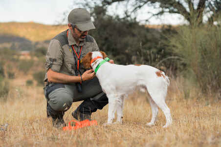 Dog collar 500 - Neon green