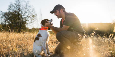 Chien de chasse