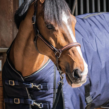 cc couverture cheval