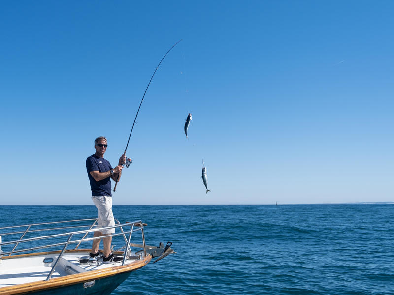 COMMENT DÉBUTER LA PÊCHE À SOUTENIR ?