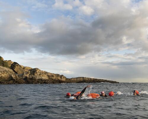 Entraînements pour l'eau libre