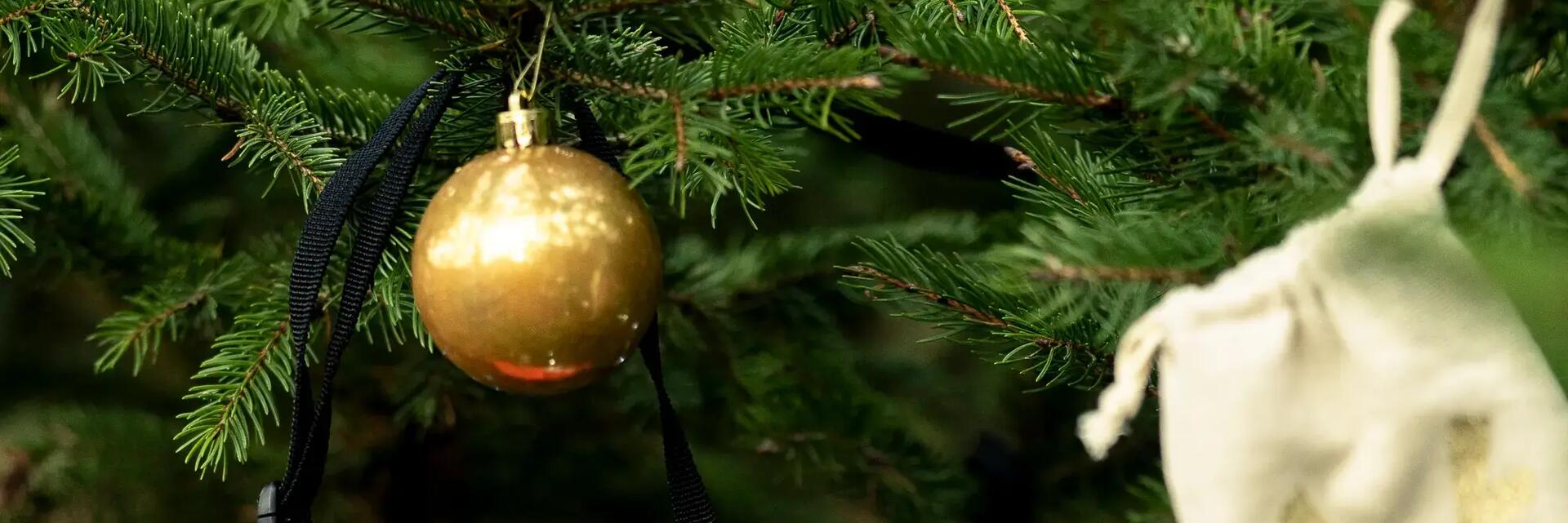 Ideas regalo para Navidad