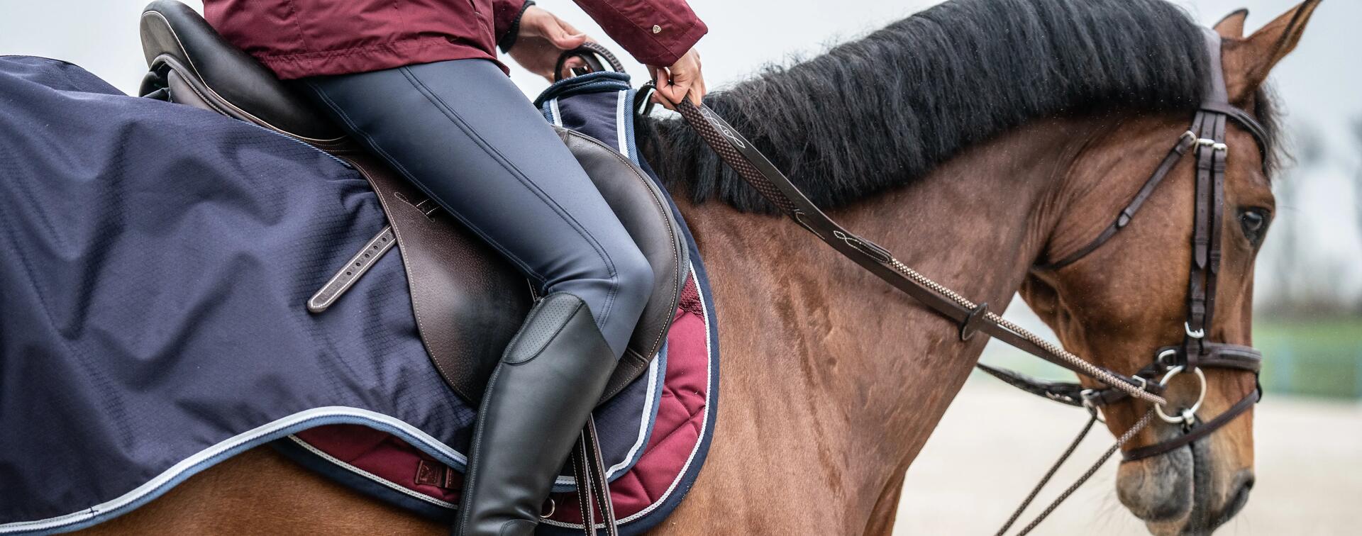 Pantalon équitation femme imperméable et chaud bleu KIPWARM