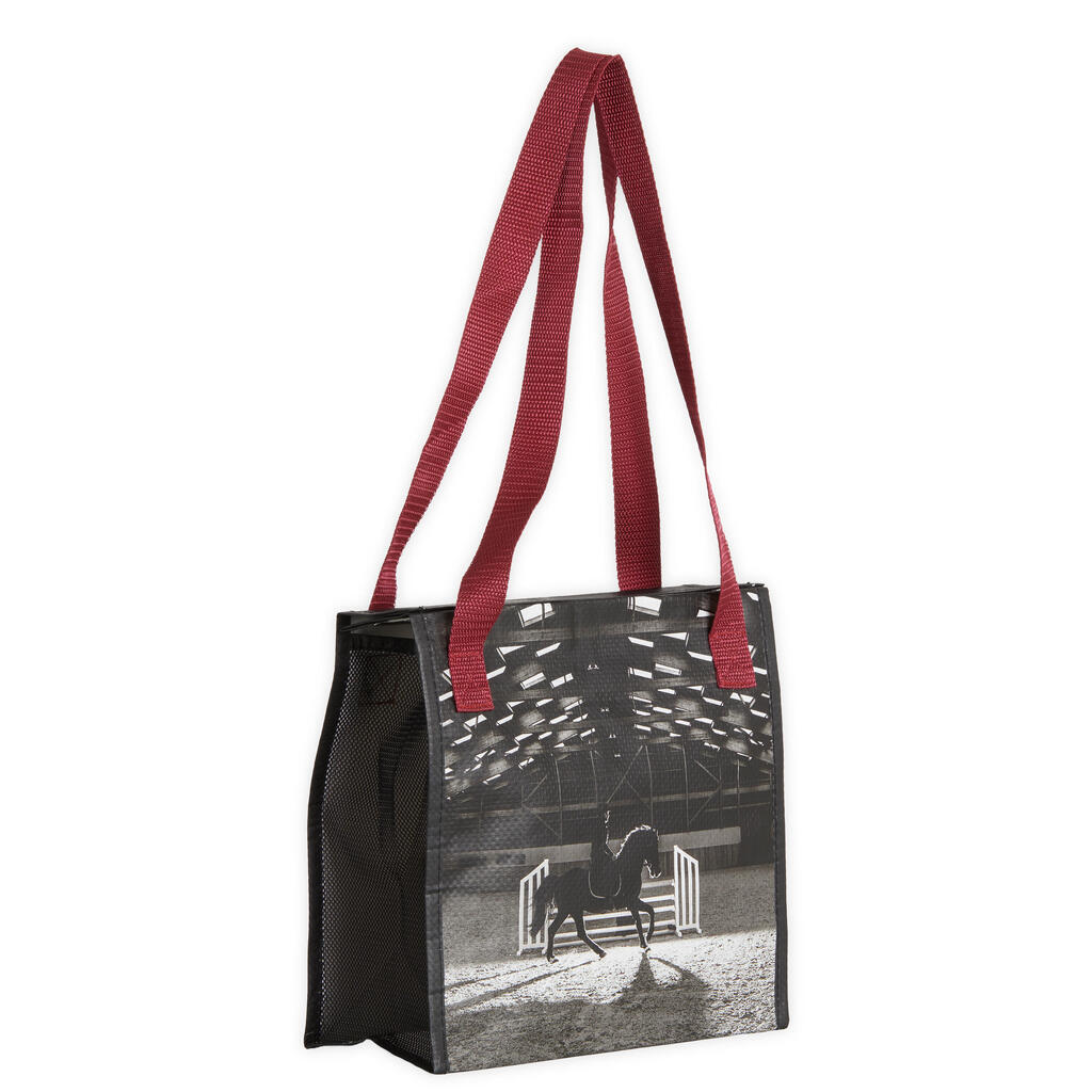 Kit de pansage adulte bordeaux