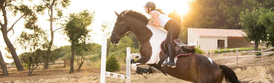 sport et tendinite, la tuile des sportifs sport et tendinite, la tuile des sportifs