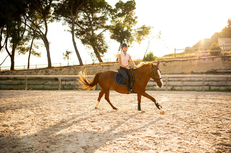 What Kit do I need to start Horse Riding for Beginners
