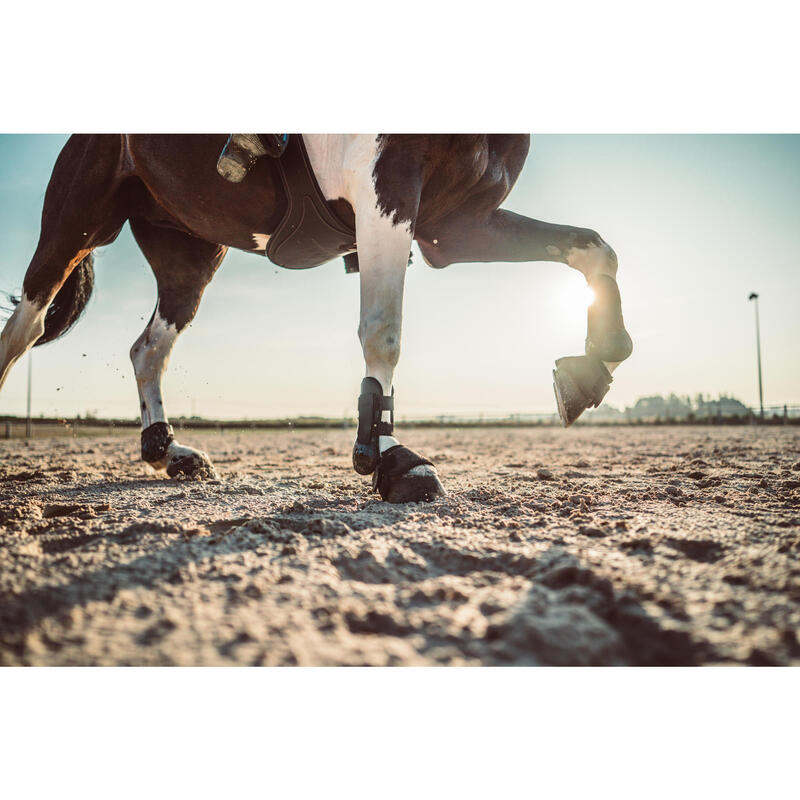 Open springschoenen ruitersport pony en paard 500 zwart