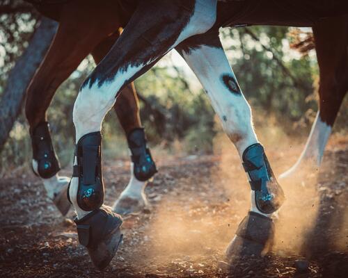 Le tapis amortisseur est-il indispensable ? Voici notre avis - HorseLab