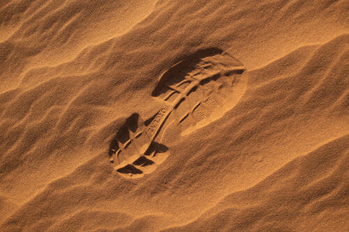 Trace de pas - trek desert