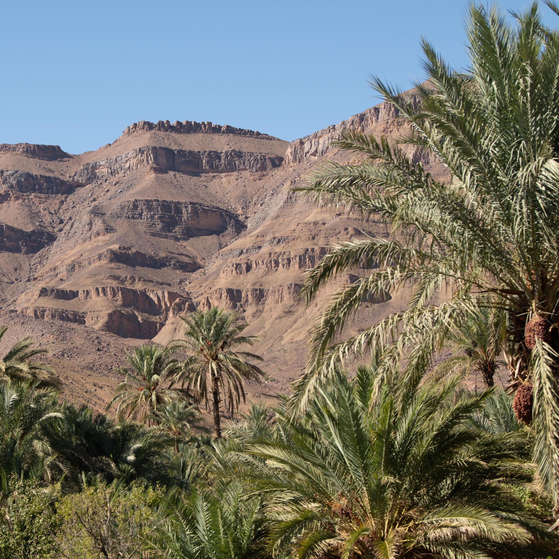 Trekking in the desert mountains in the Sahara Morocco