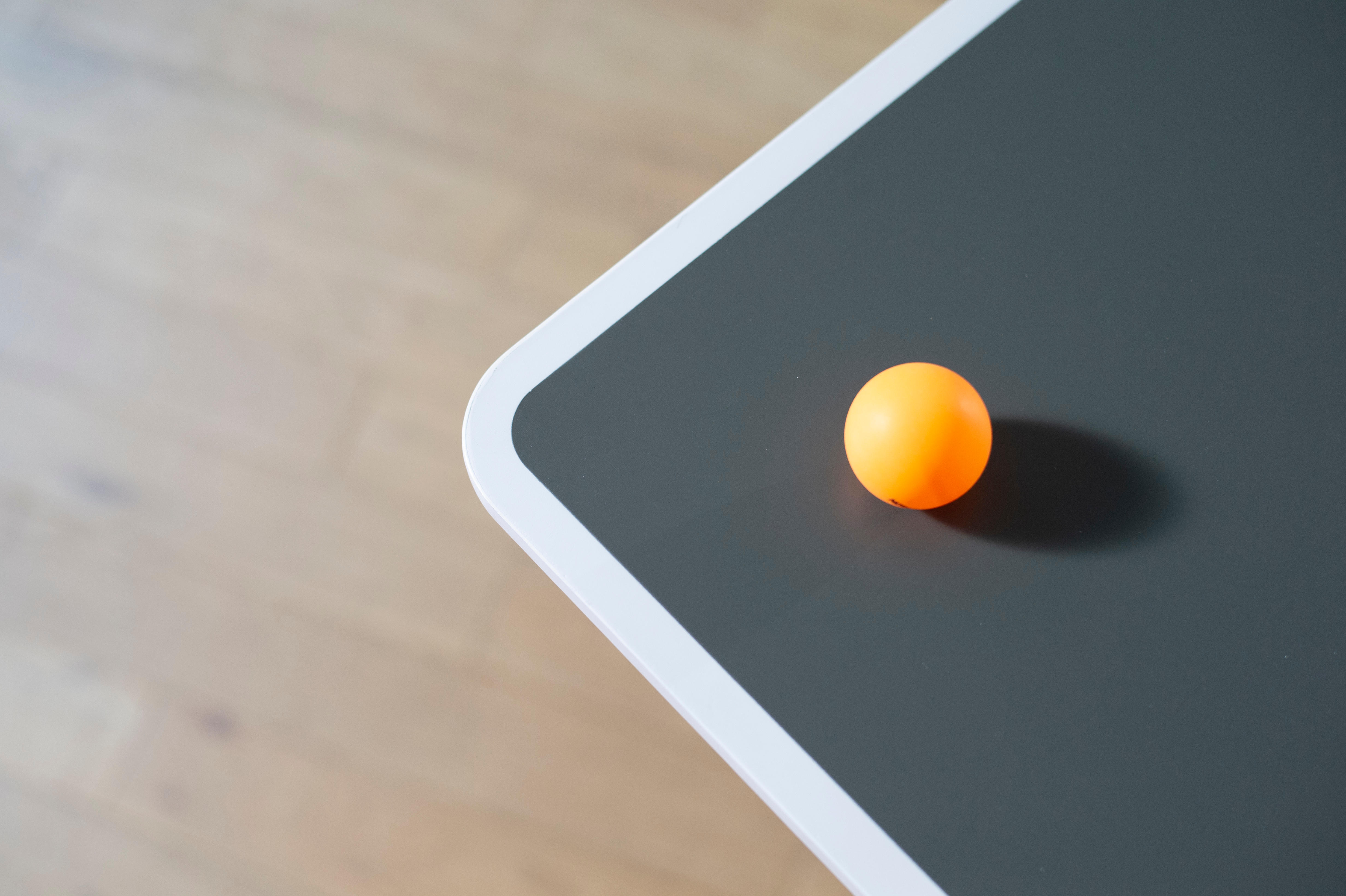 Table de tennis de table - PPT 130 - PONGORI