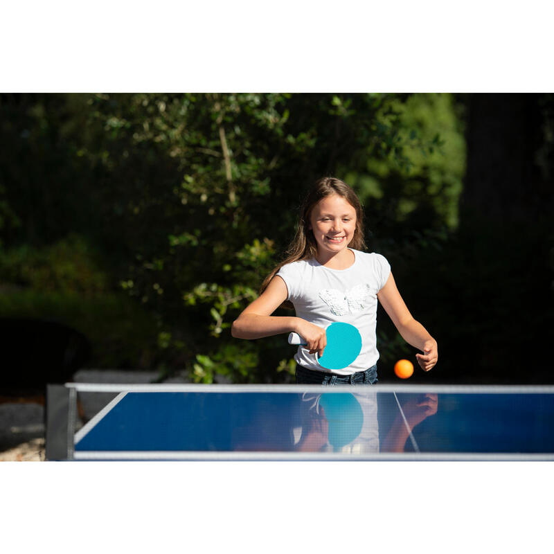 MESA DE PING PONG PPT 130 EXTERIOR AZUL