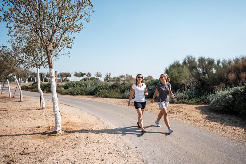 Terug beginnen sporten: makkelijker door sportief te wandelen!