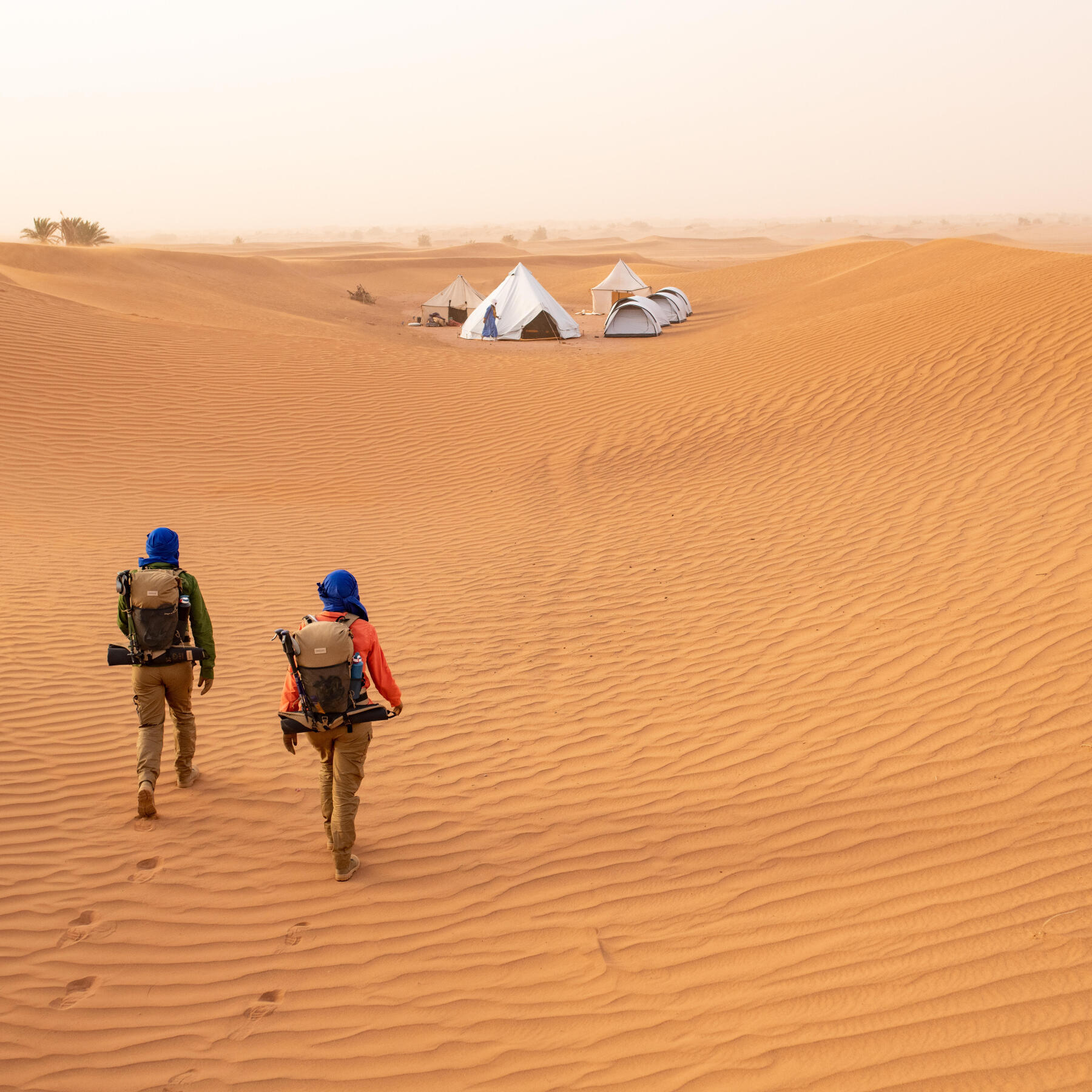 THE DIFFERENT TYPES OF SAHARA LANDSCAPES