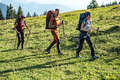MUŠKA ODJEĆA ZA TREKKING NA PLANINI Trekking - Majica Merino Trek 500 FORCLAZ - Majice za trekking