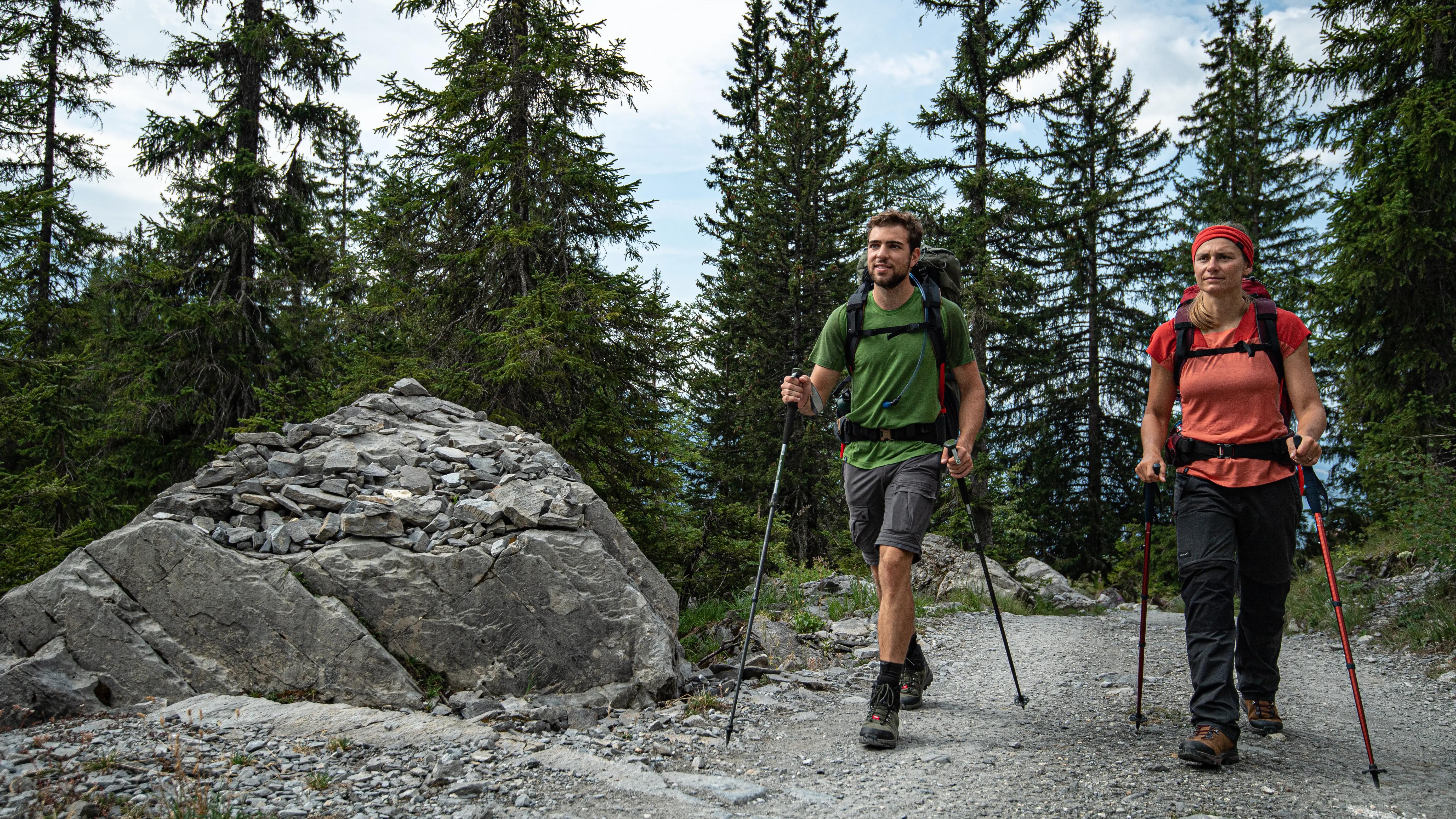 Warum sollte ich Wanderstöcke verwenden? 