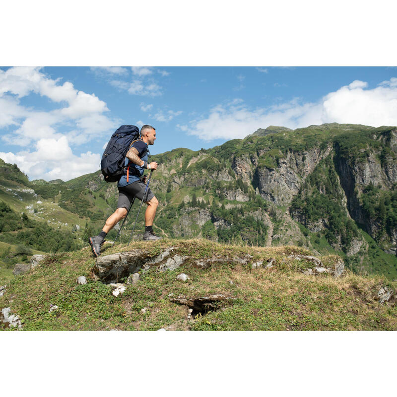 1 Wanderstock Trekking präzise Schnellverstellung Bergwandern - MT500 blau