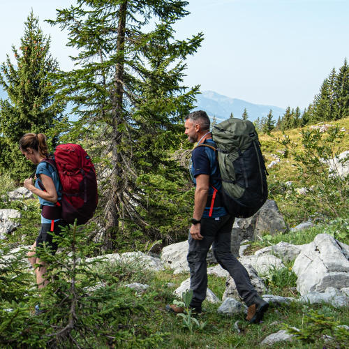 Wander-/Trekkingschuhe mit hohem Schaft - DECATHLON Forclaz 