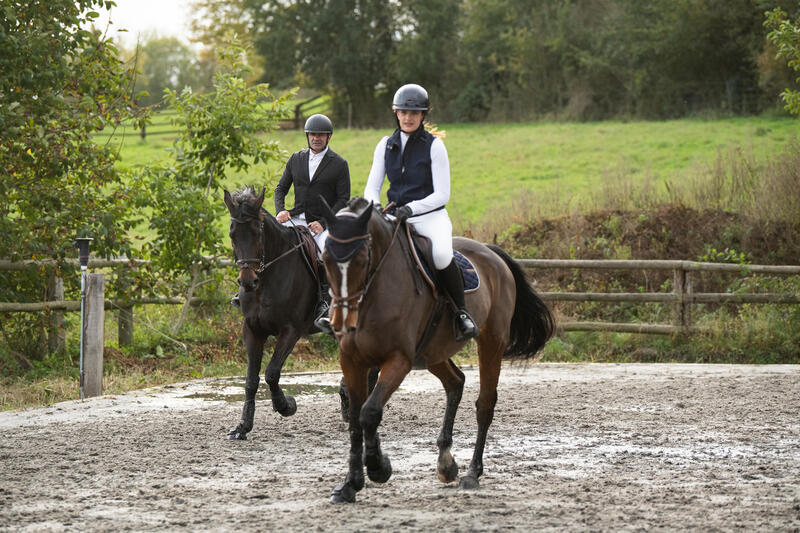 How to Choose Your Horse Riding Back Protection