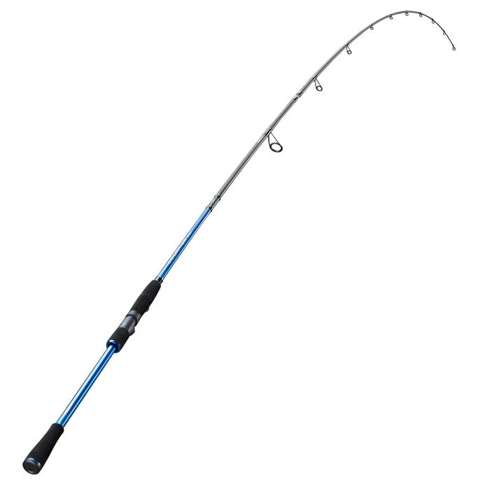 Quelle Longueur De Canne Pour Peche Au Leurre Du Bord