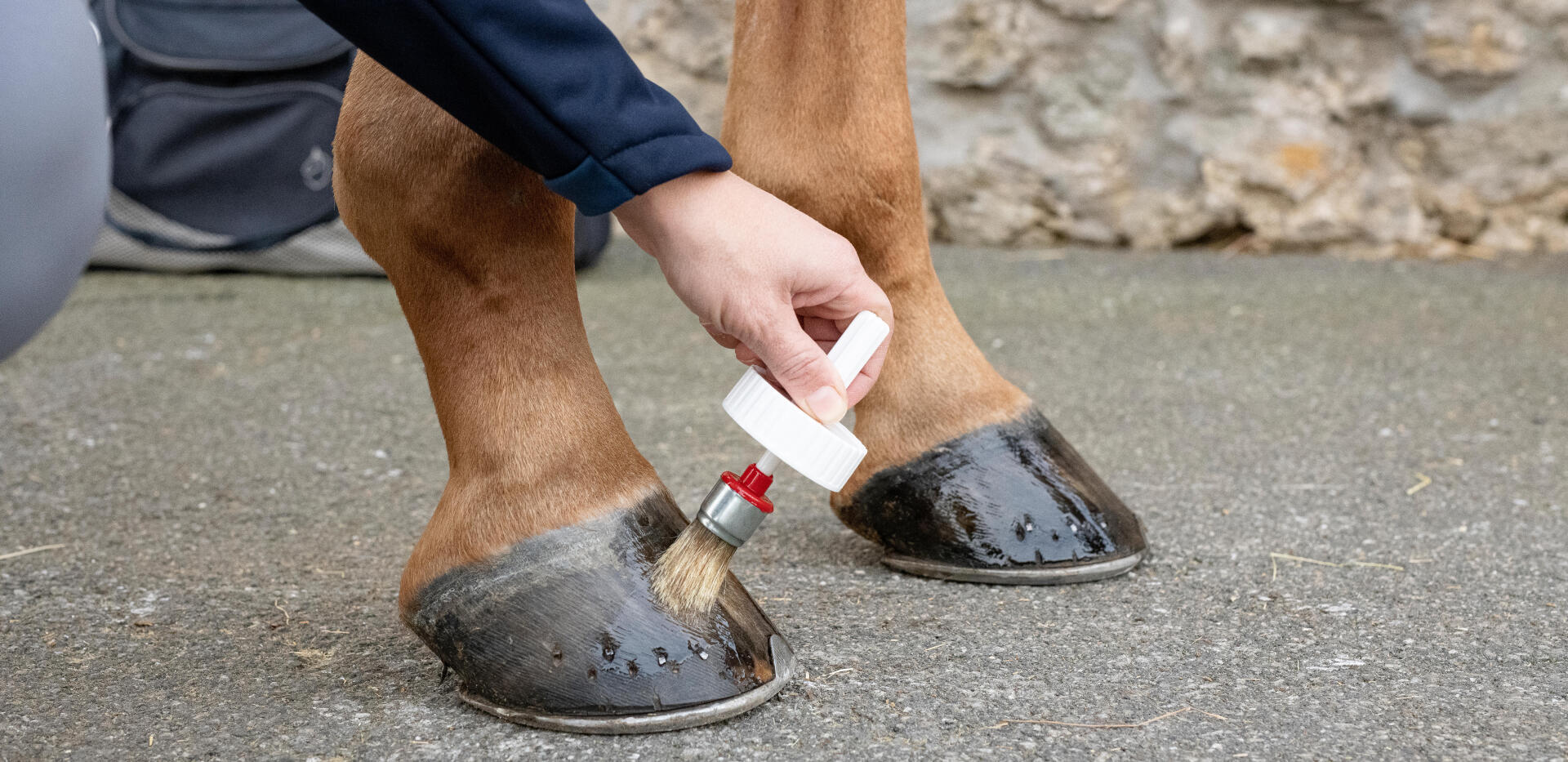 Come prendersi cura dei piedi del cavallo