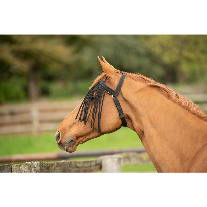 Vliegenfrontriem voor paarden in de weide zwart