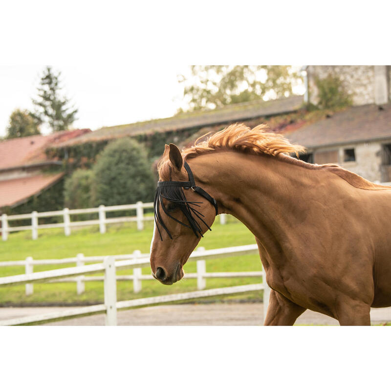 Fliegenfranse Pferd schwarz