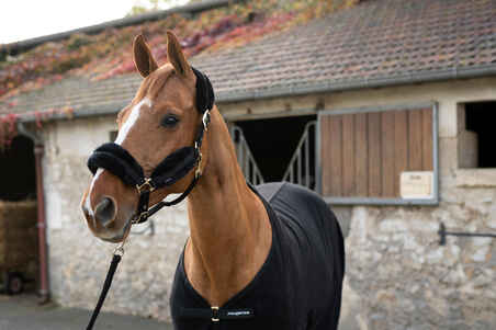 Jaquimón cuadra para caballo de equitación - Fouganza negro