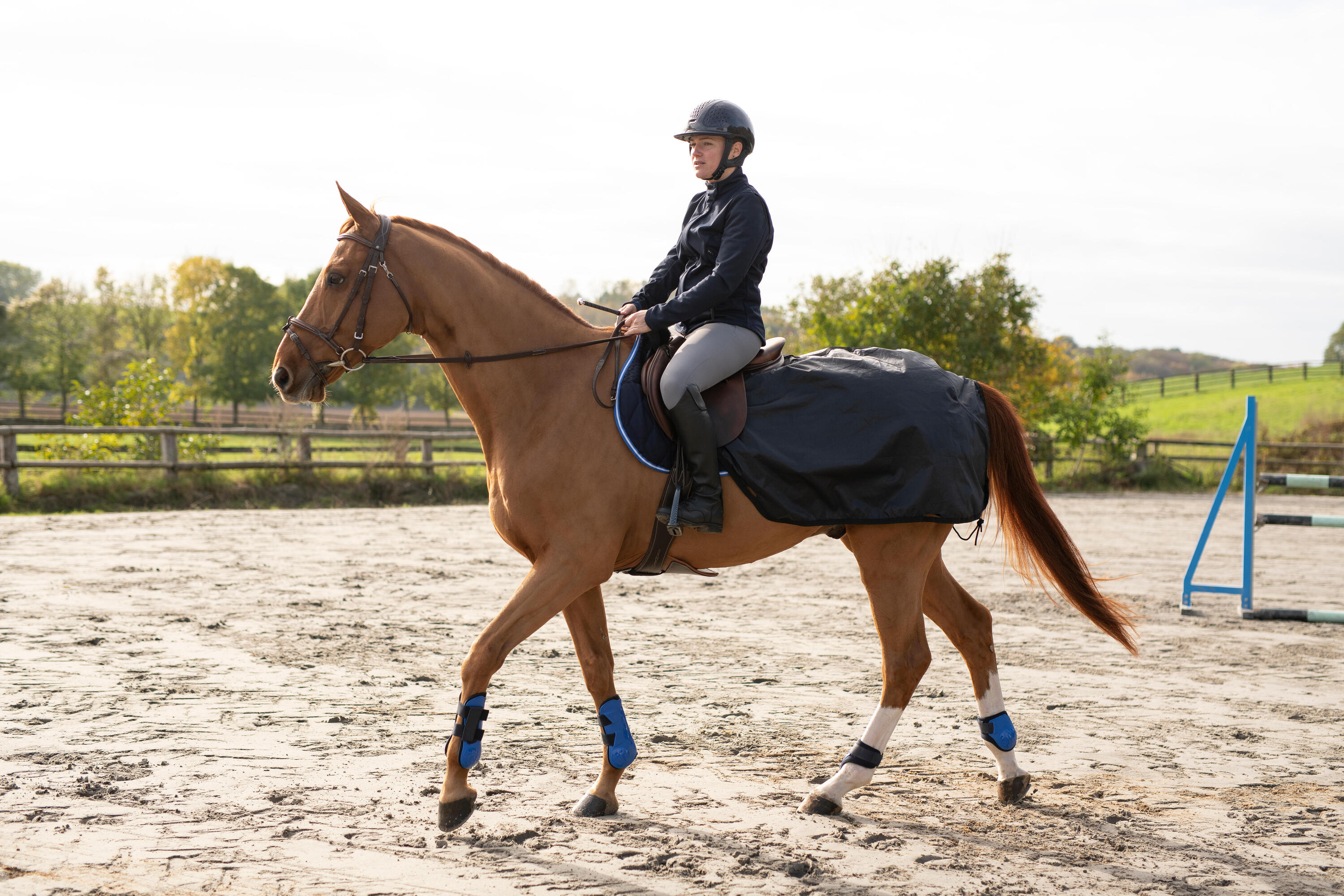 Horse and Pony Riding Exercise Rug Allweather - Black 2/4