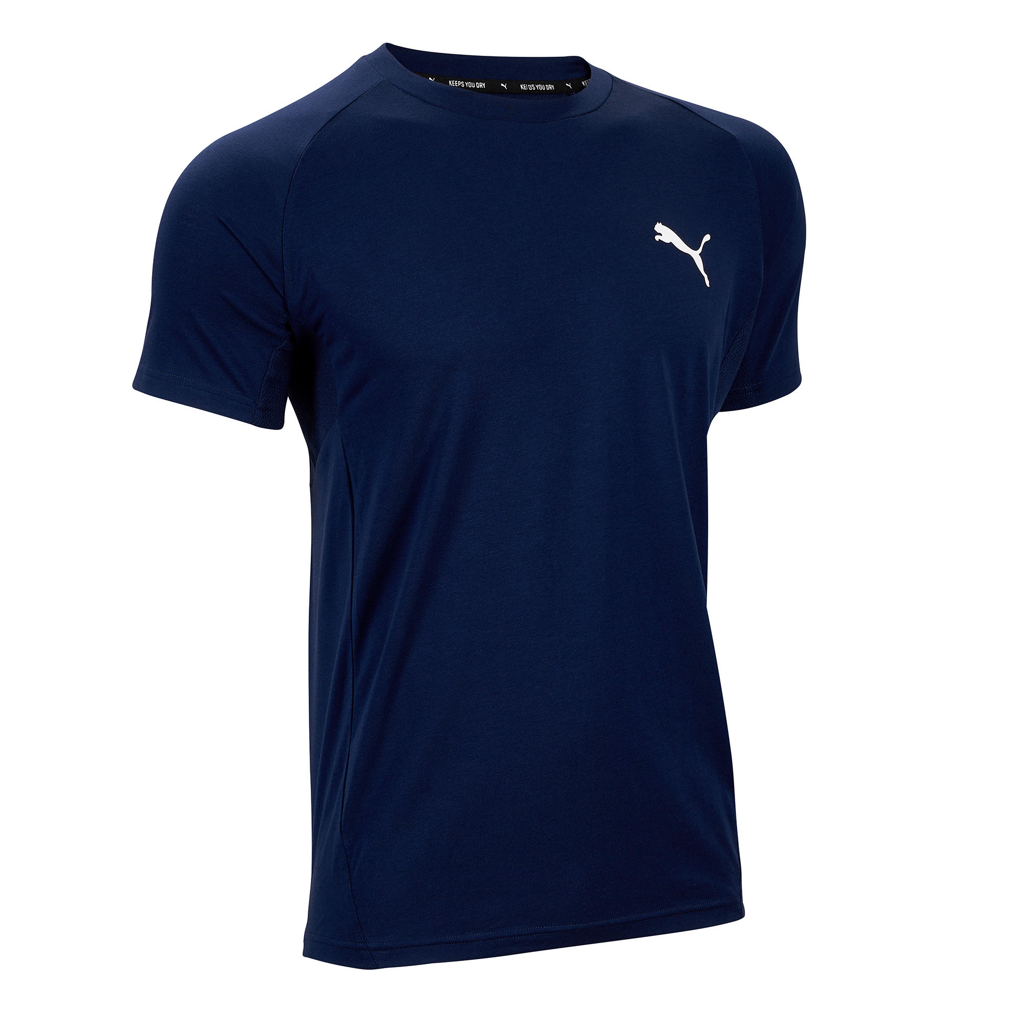 puma platform animal