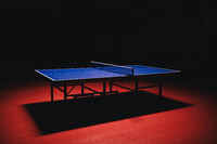 ITTF Approved Club Table Tennis Table TTT 500