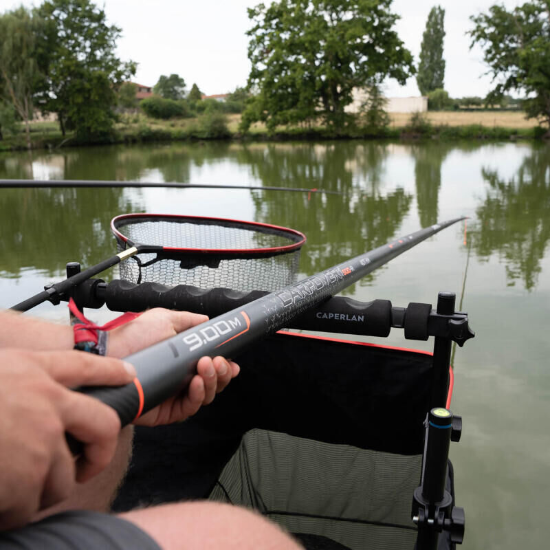 How to choose the best carp bait?