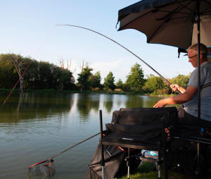 comment choisir sa canne comment choisir sa canne