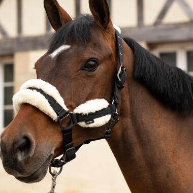 Come scegliere la capezza per il cavallo