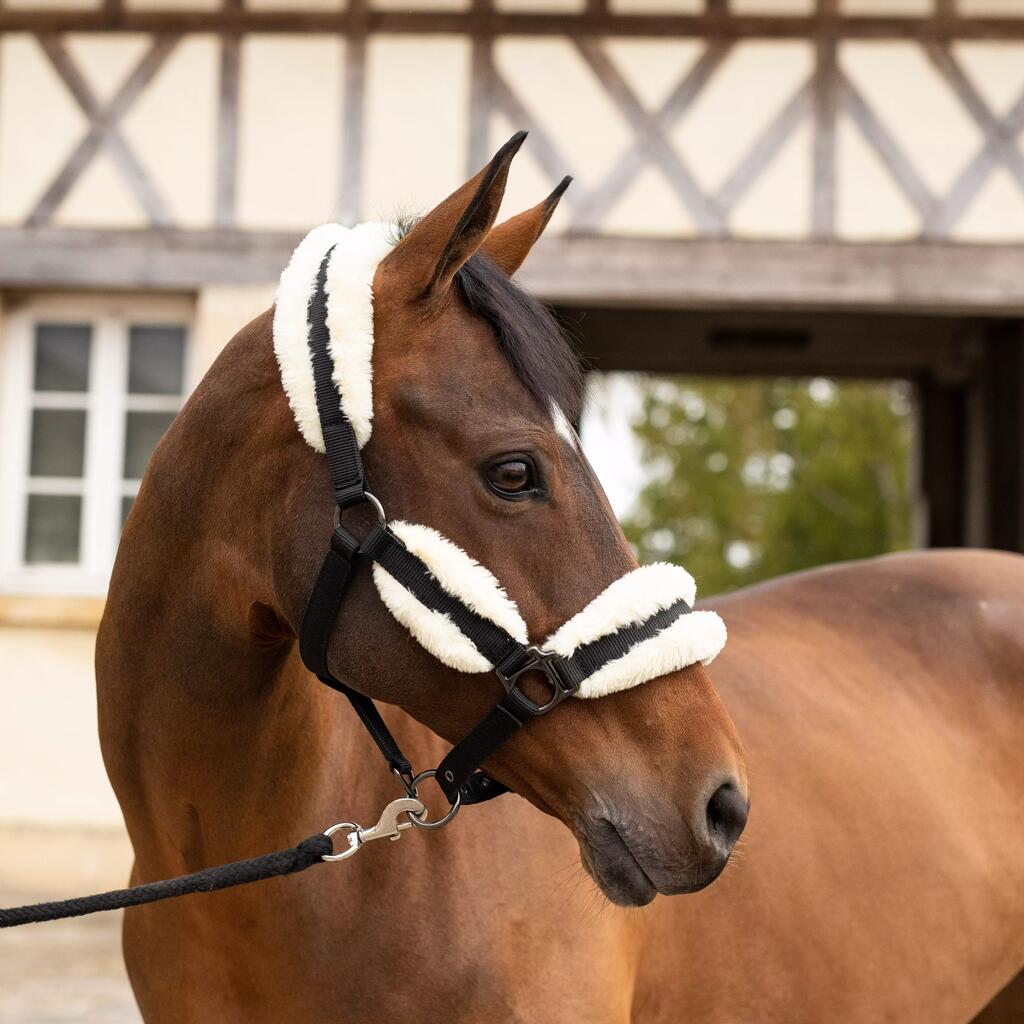 Horse Riding Synthetic Sheepskin Halter for Pony - Black/Beige