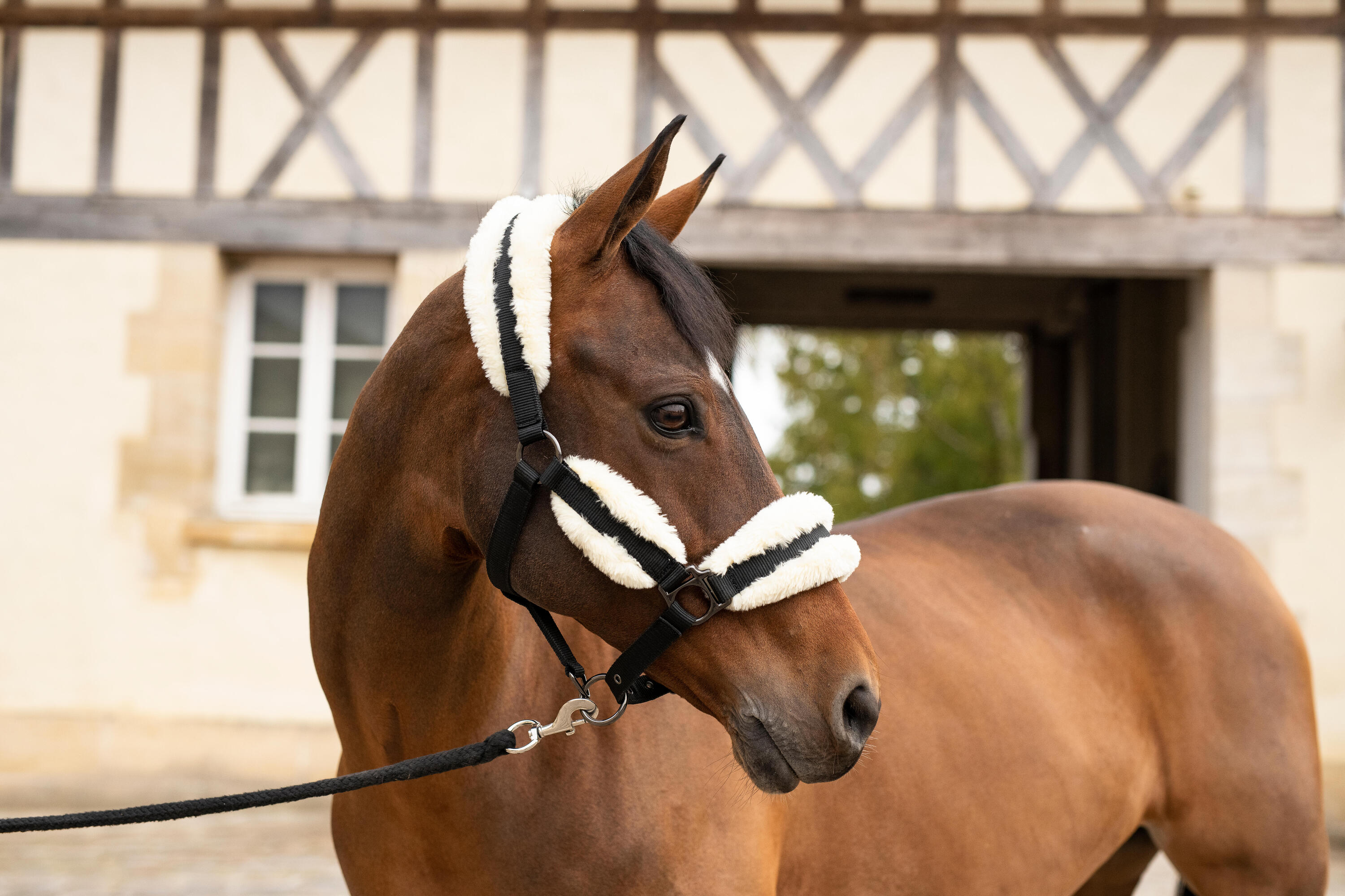 Horse Riding Synthetic Sheepskin Halter for Pony - Black/Beige 2/6