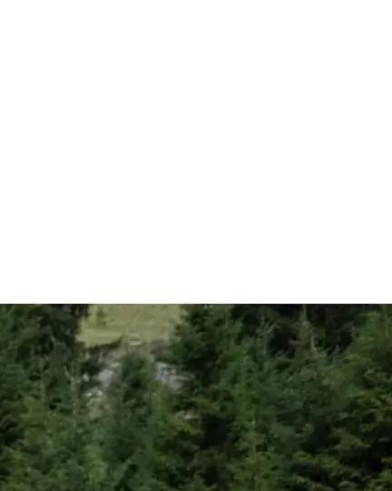 Lakenzakken