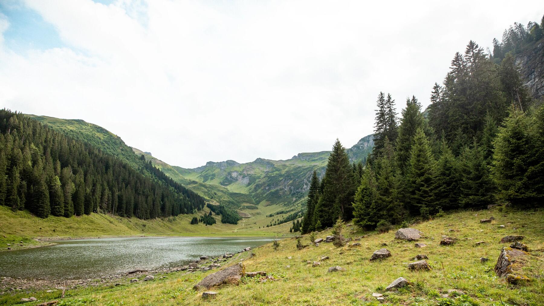 Widok na góry