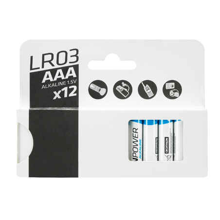 Pack of 12 alkaline batteries LR03 - AAA