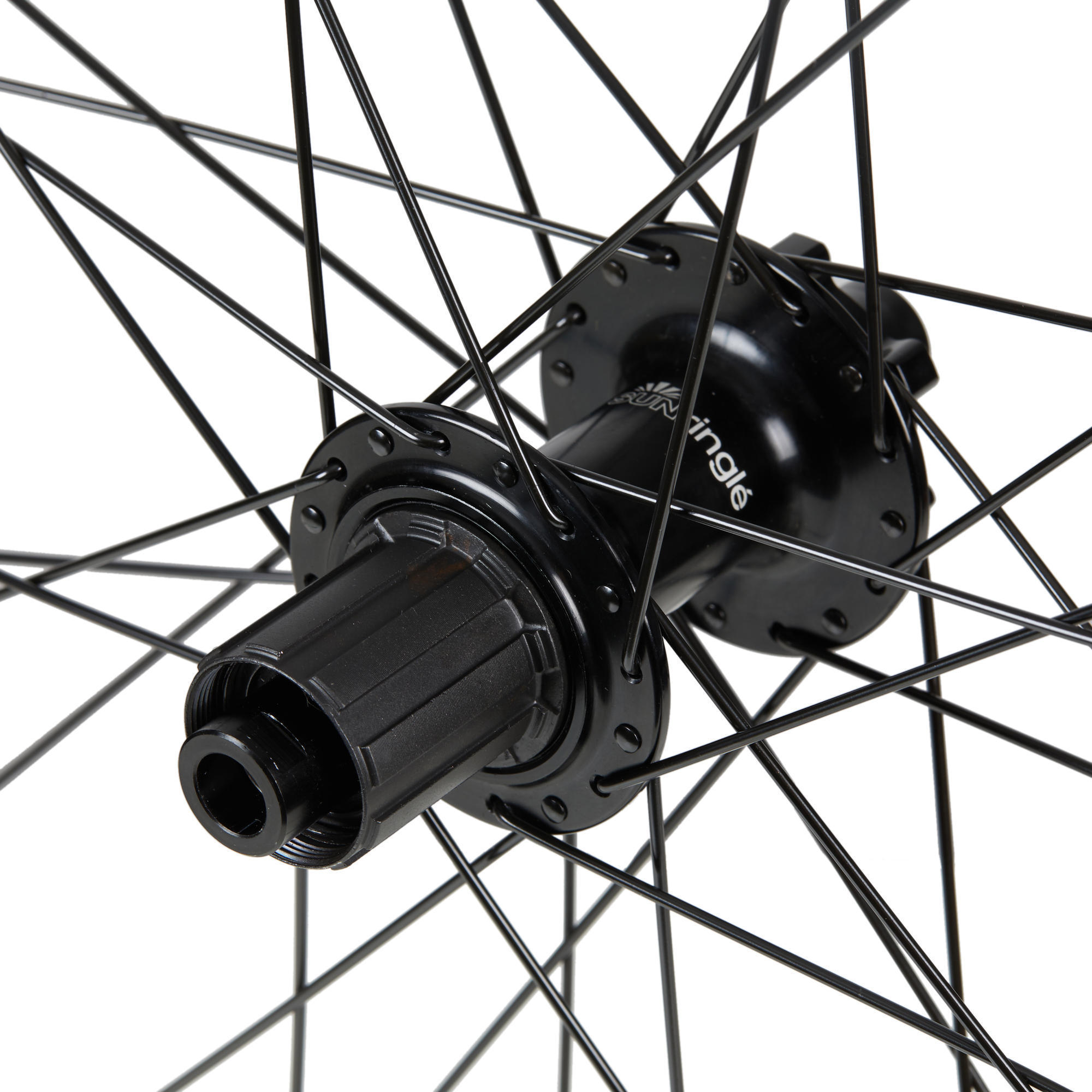 Ruota posteriore MTB 29\