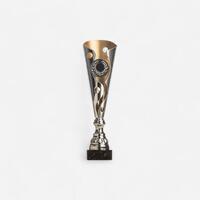 COUPE C515 ARGENT/OR 35cm