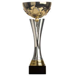 C535 Cup 32cm - Gold/Silver