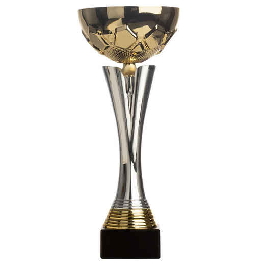 
      Pokal C535 gold/silber 32 cm
  