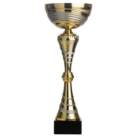 Pokal C545 gold/silber 38 cm
