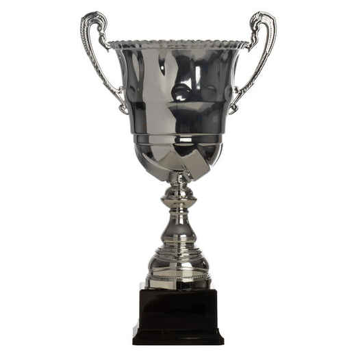 
      Pokal C910 silber 36 cm
  