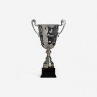 COUPE C910 ARGENT 36cm