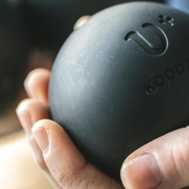 Comment choisir des boules de pétanque ?