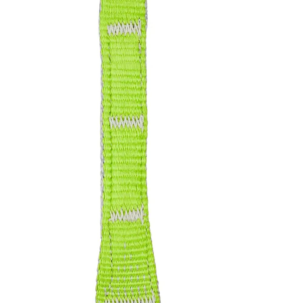 Express-Set Spider25