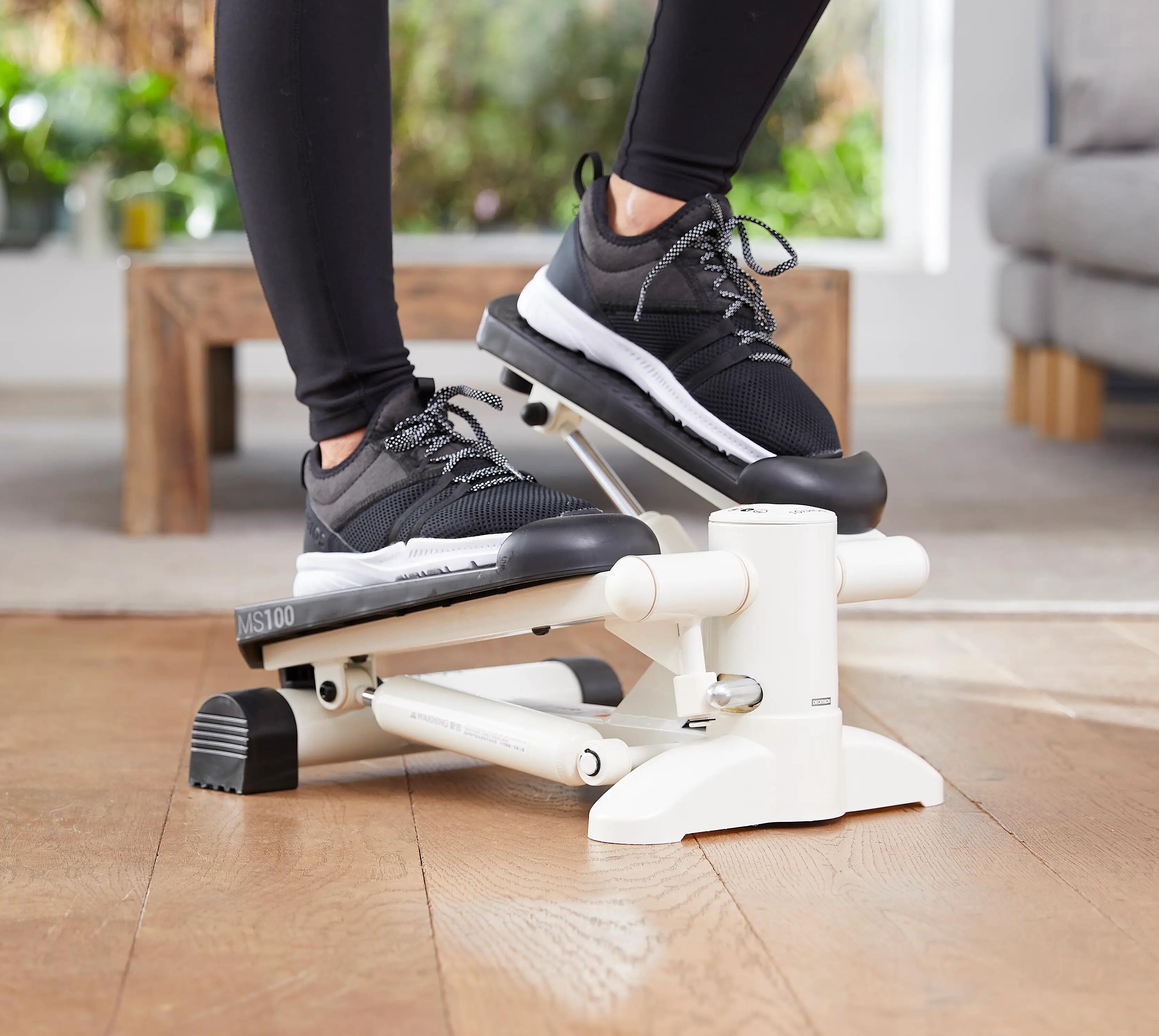 STEPPER MS 100